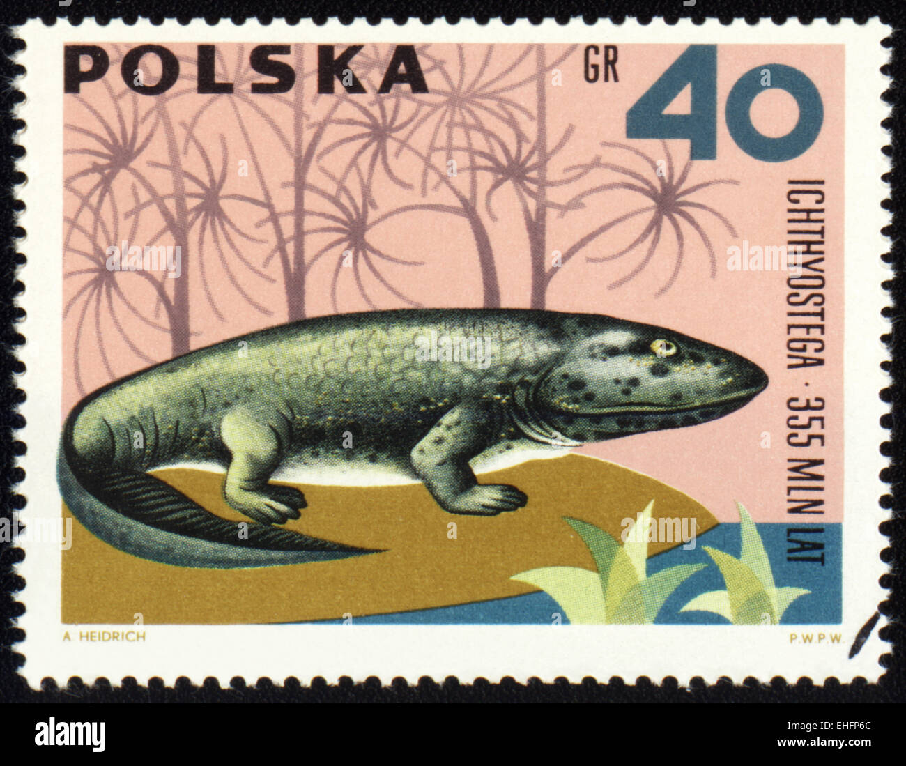 Polen - ca. 1966: Briefmarke gedruckt in Polen zeigt Dinosaurier Acanthostega Stockfoto