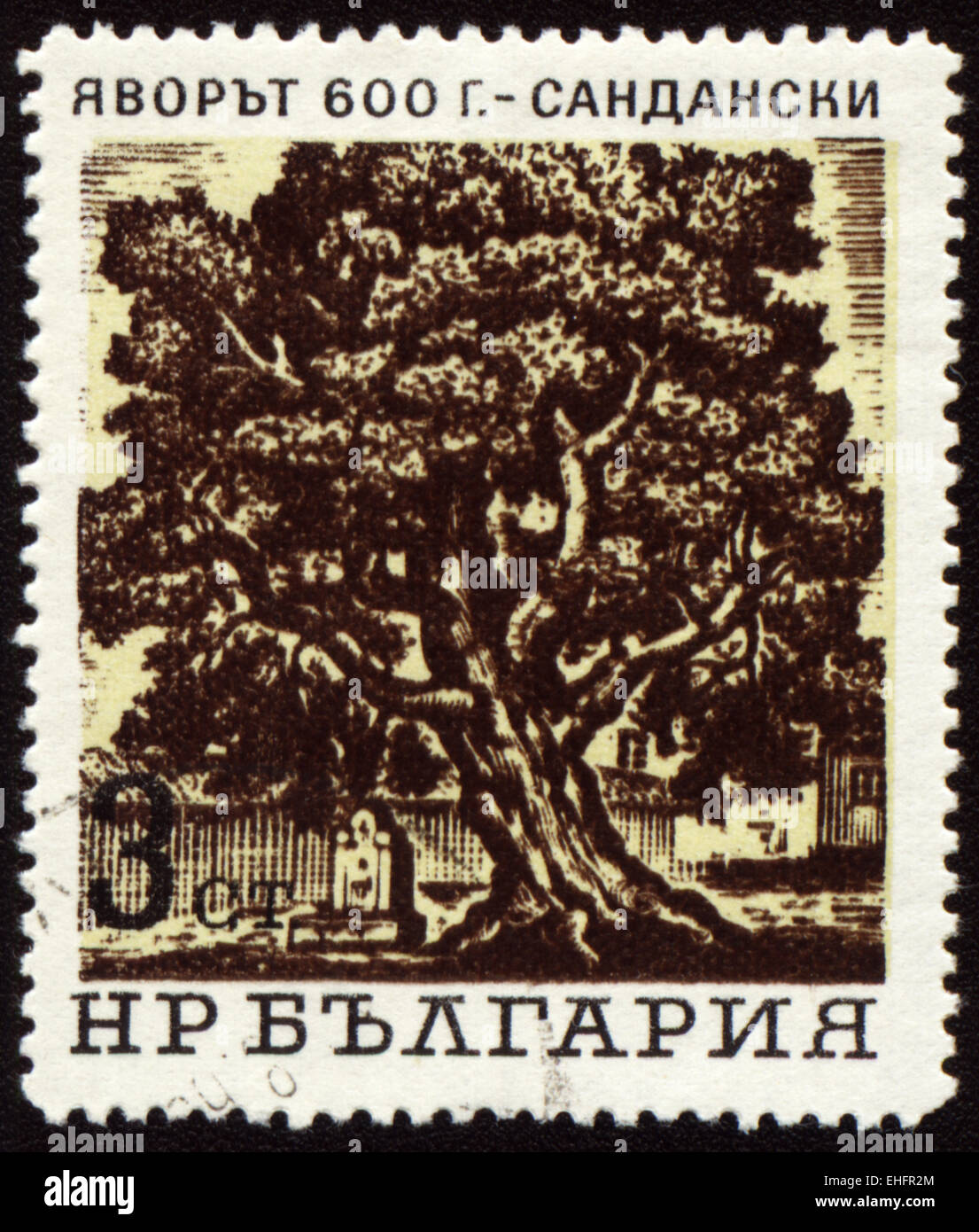 Bulgarien - ca. 1970er Jahre: Briefmarke gedruckt in Bulgarien Stockfoto