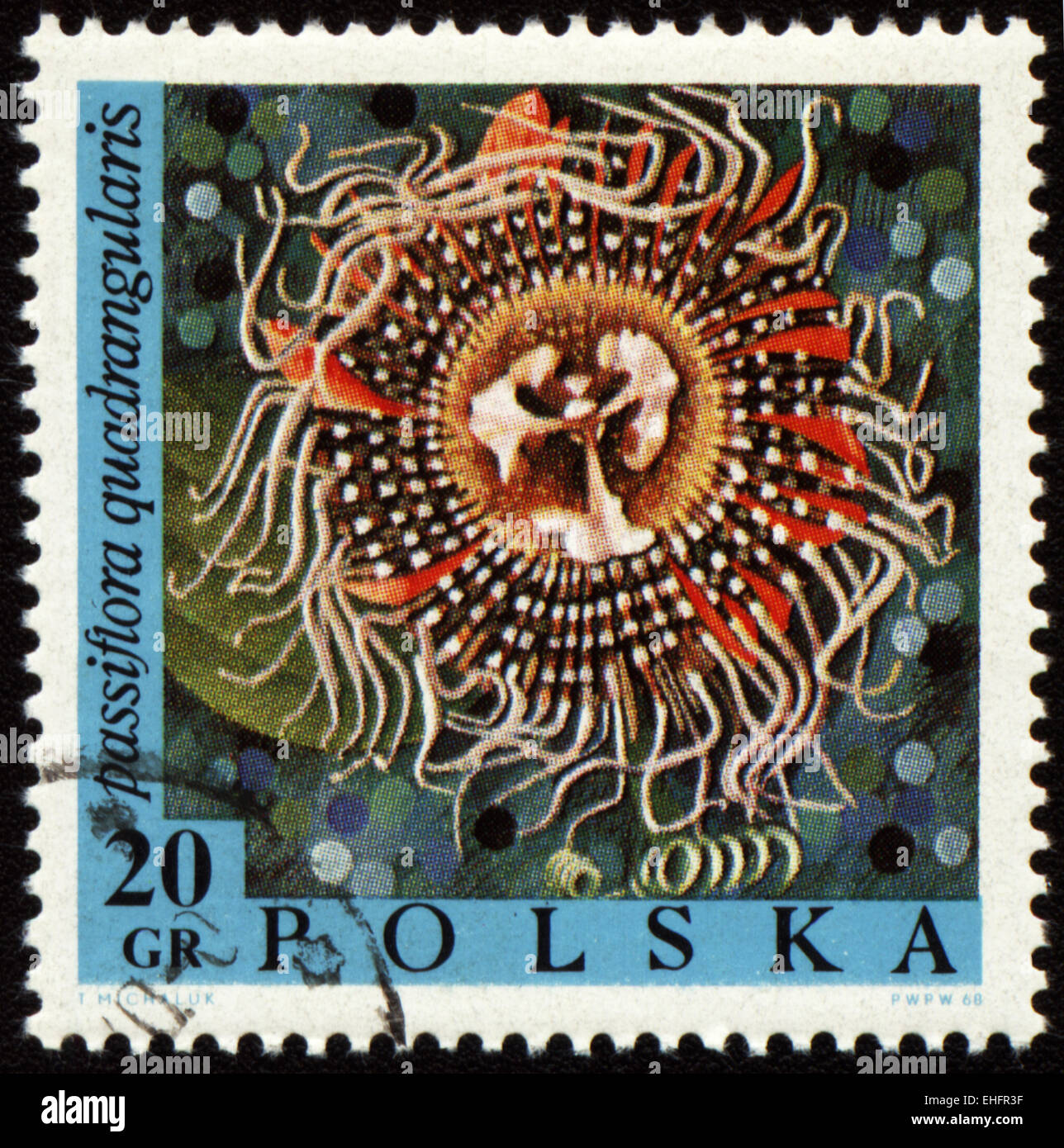 Polen - ca. 1968: Briefmarke gedruckt in Polen Stockfoto
