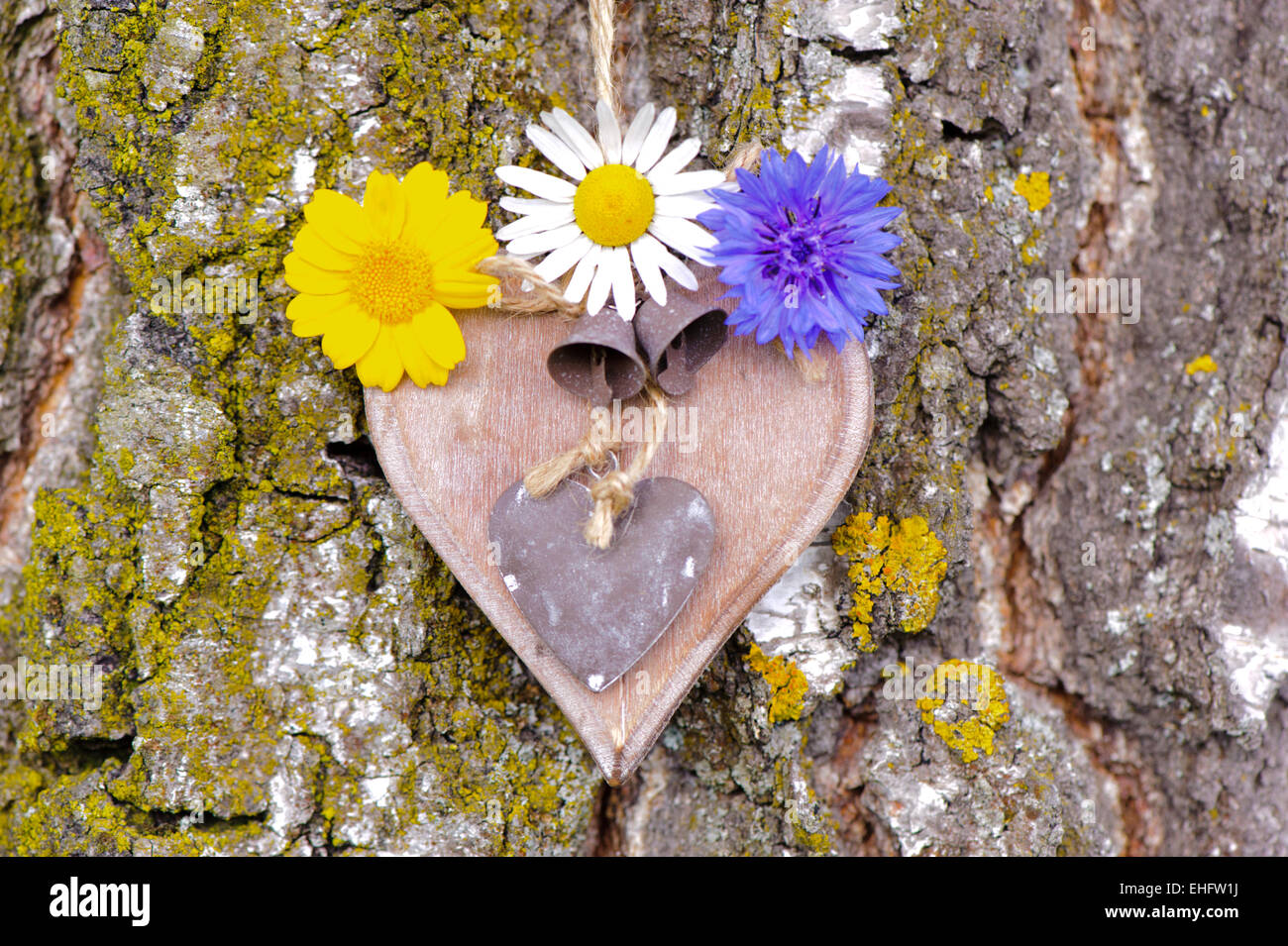 Herz auf Baumrinde aus Holz geschnitzt, als Symbol für die Liebe Stockfoto