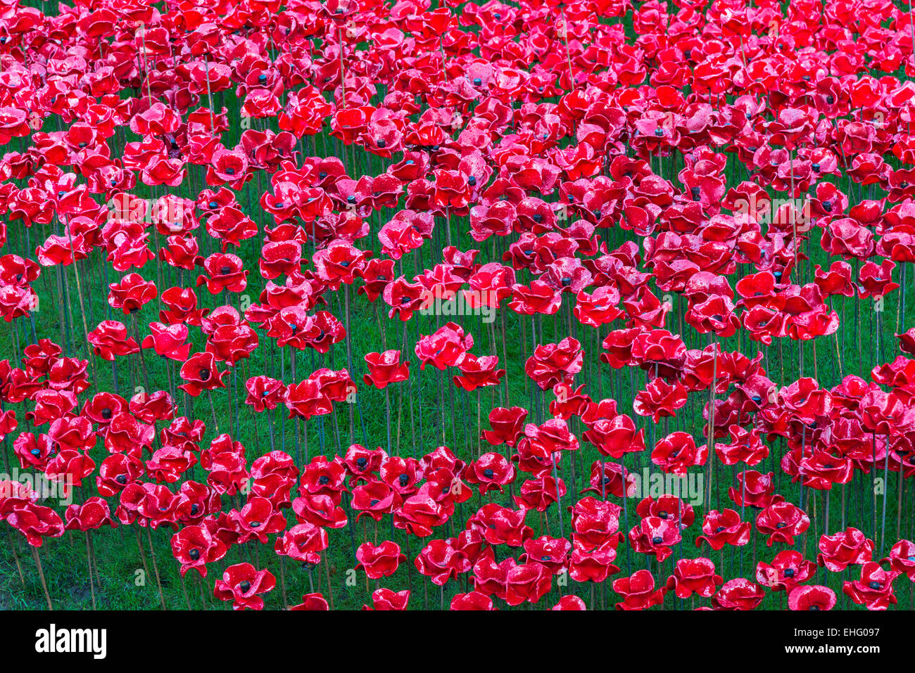Gedenktag Keramik Mohnblumen anzeigen in den Tower of London in central London, UK anlässlich der Hundertjahrfeier des Ausbruchs des 1. Weltkrieges Stockfoto