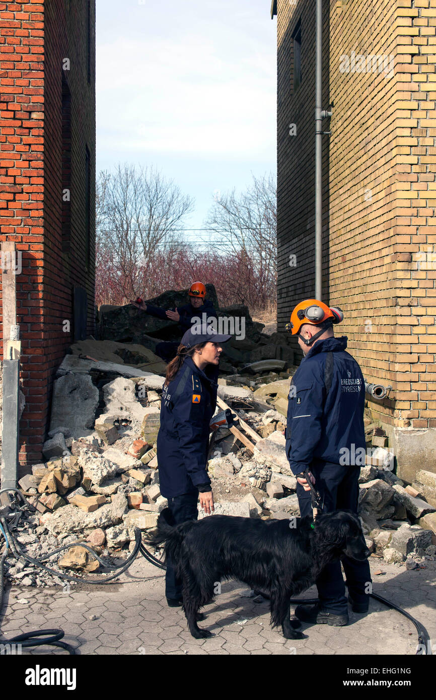 Hedehusene, Dänemark. 13. März 2015. Prinzessin Marie besucht die dänische Emergency Management Agency, wo treffen sie unter anderem die Rettung Hundegruppe. Auf dem Bild ist sie erklärte, wie die Hunde in einer Ruine mit eingeschlossenen Personen Kredit arbeiten: OJPHOTOS/Alamy Live News Stockfoto