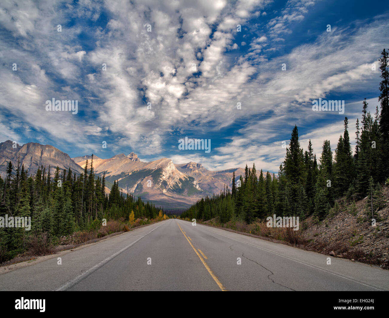 Straße in Banff Nationalpark, Alberta, Kanada Stockfoto