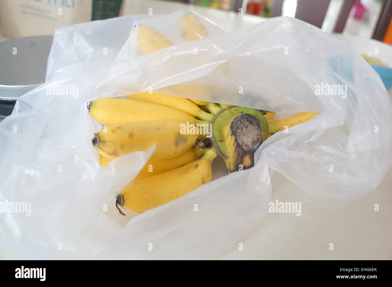 Banane Baum reif pflanzlichen Blatt Frucht Stockfoto