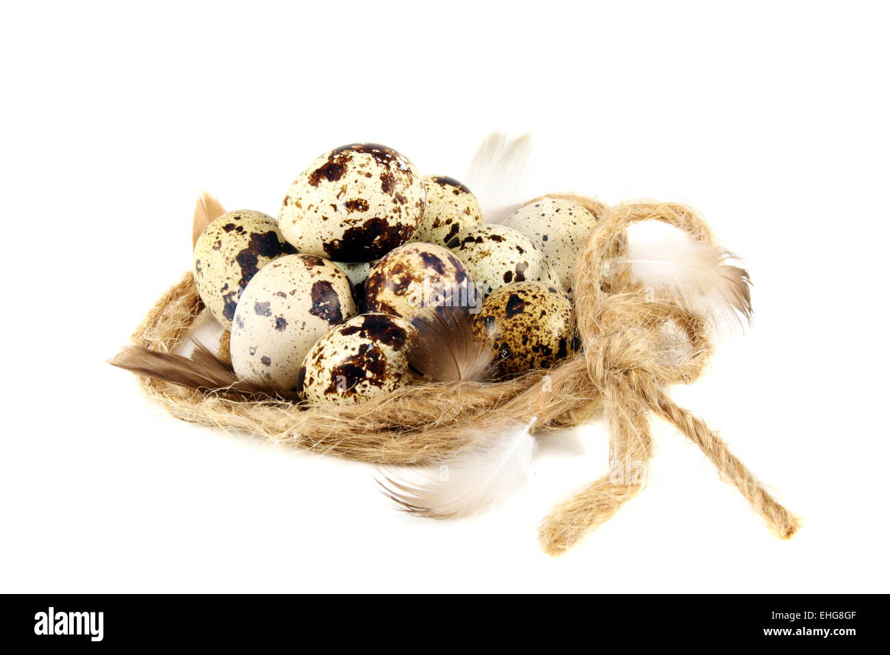 Bunten Eiern im Nest. Stockfoto