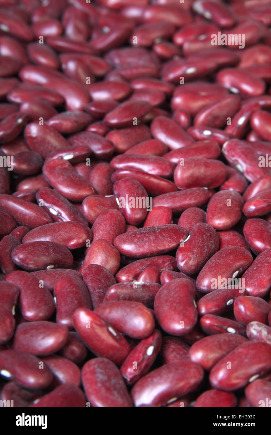 Ein Haufen von Red Kidney-Bohnen verkauft auf dem Markt, füllen der Rahmen erstellen eines Hintergrunds Stockfoto