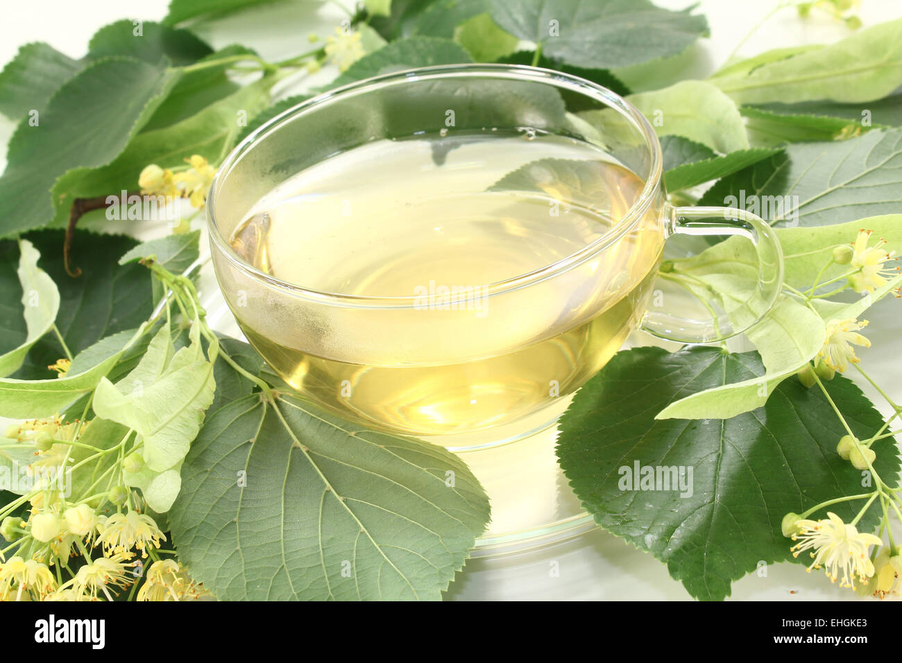 heißen Linden Blossom Tee Stockfoto