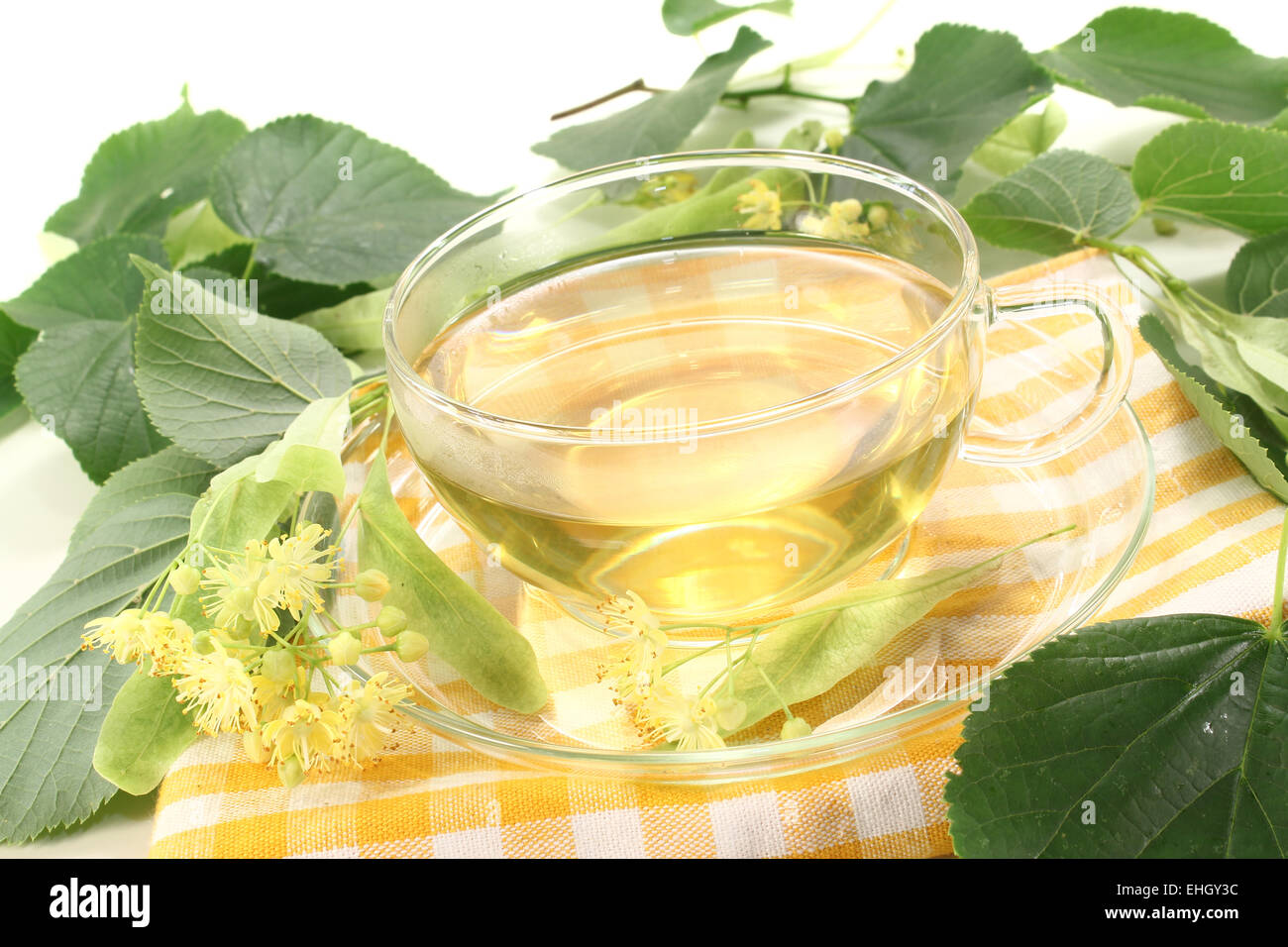 Linden-Blüten-Tee Stockfoto