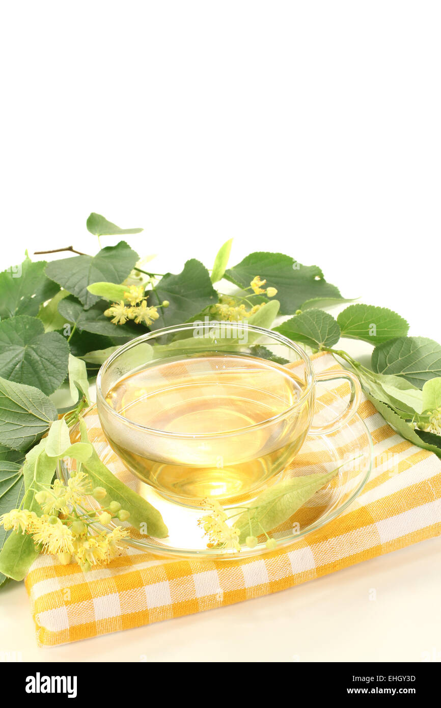 köstliche Linden Blossom Tee Stockfoto