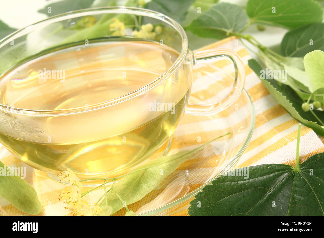 heißen Linden Blossom Tee Stockfoto