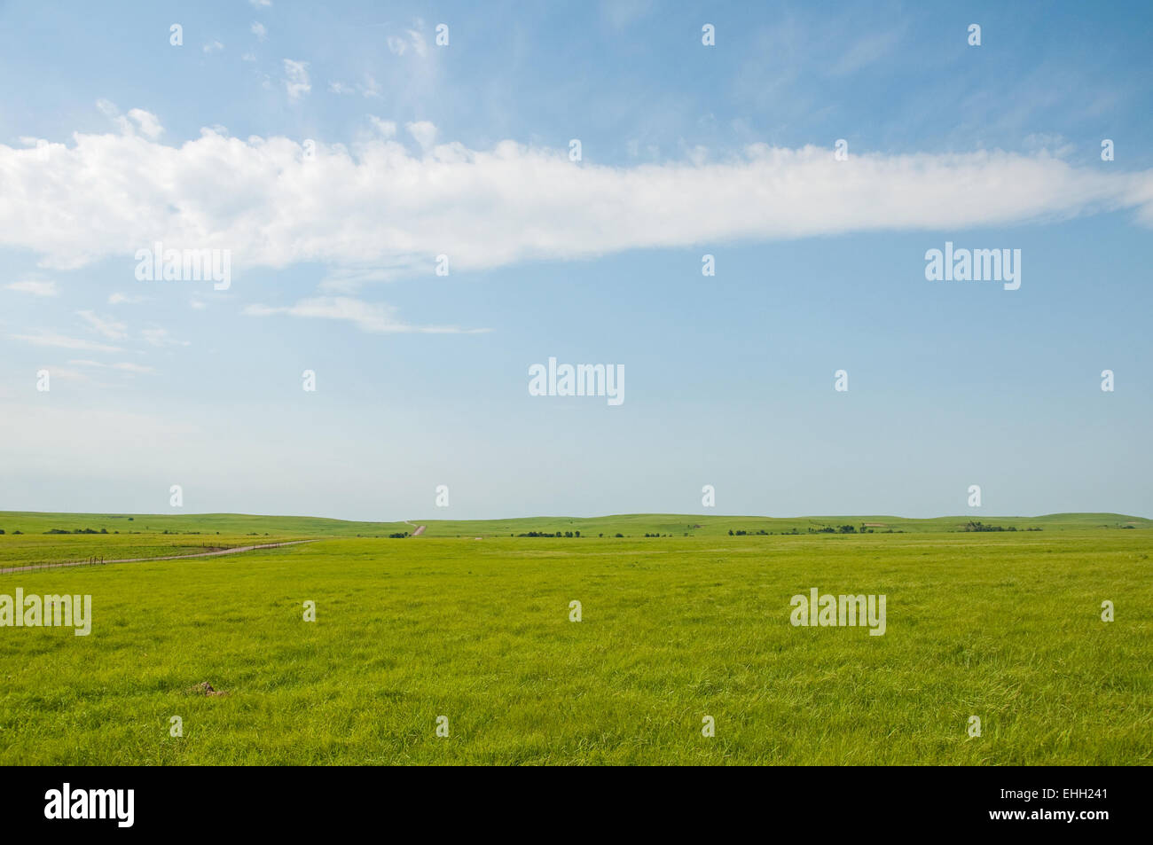 Weiten ländlichen Prärielandschaften im Sommer Stockfoto