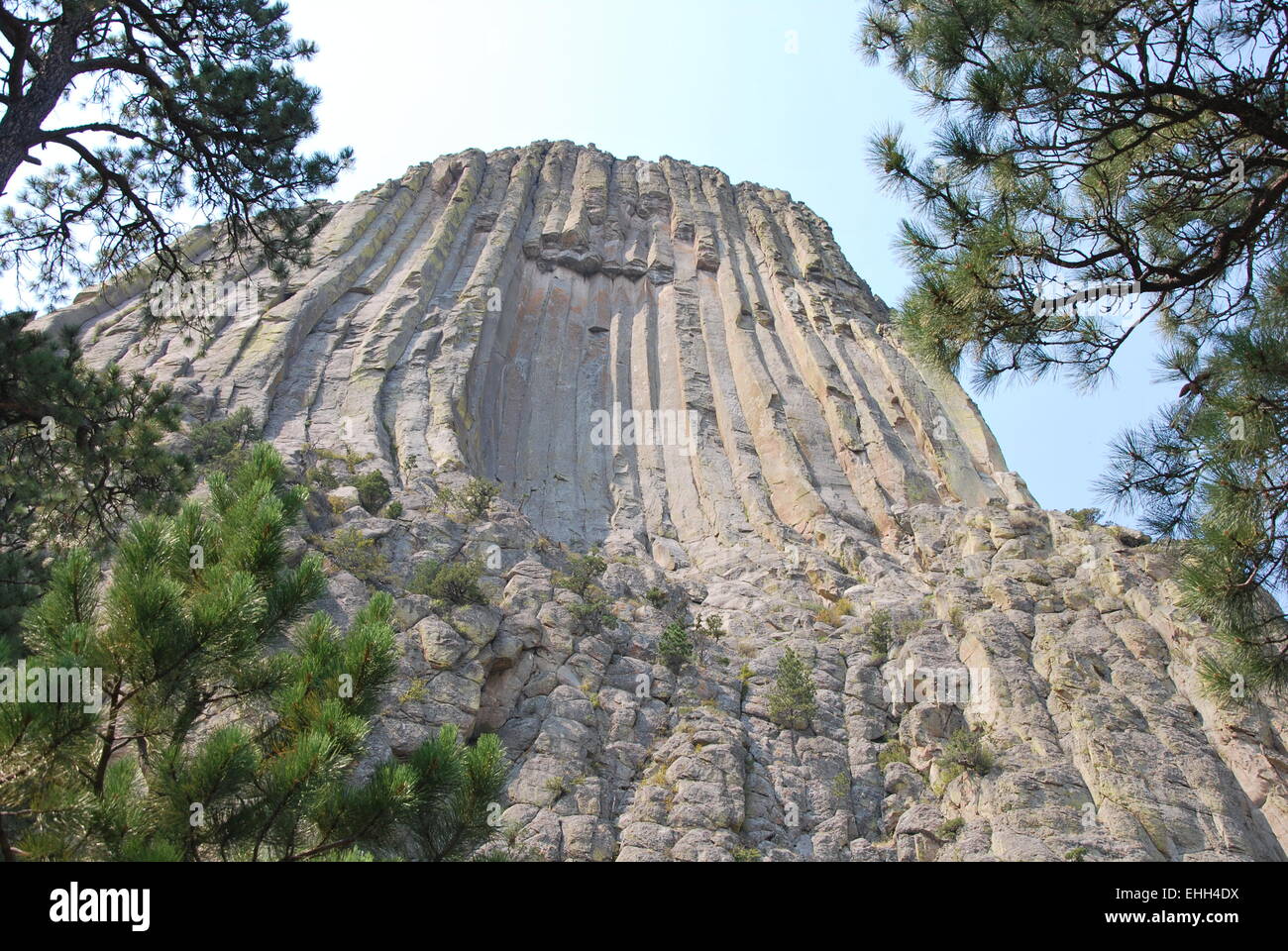 Devils Tower Stockfoto