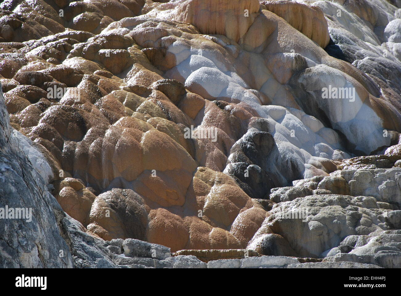 Farben des Yellowstone Stockfoto