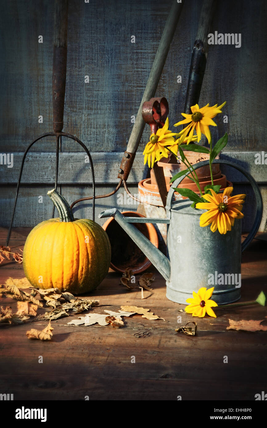 Gartenhäuschen mit Werkzeugen, Kürbis und Blumen Stockfoto