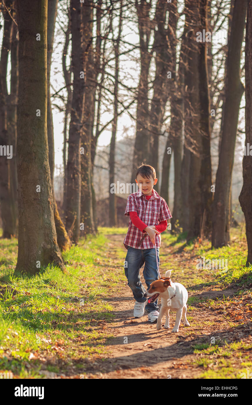 junge und Hund im Park spazieren Stockfoto