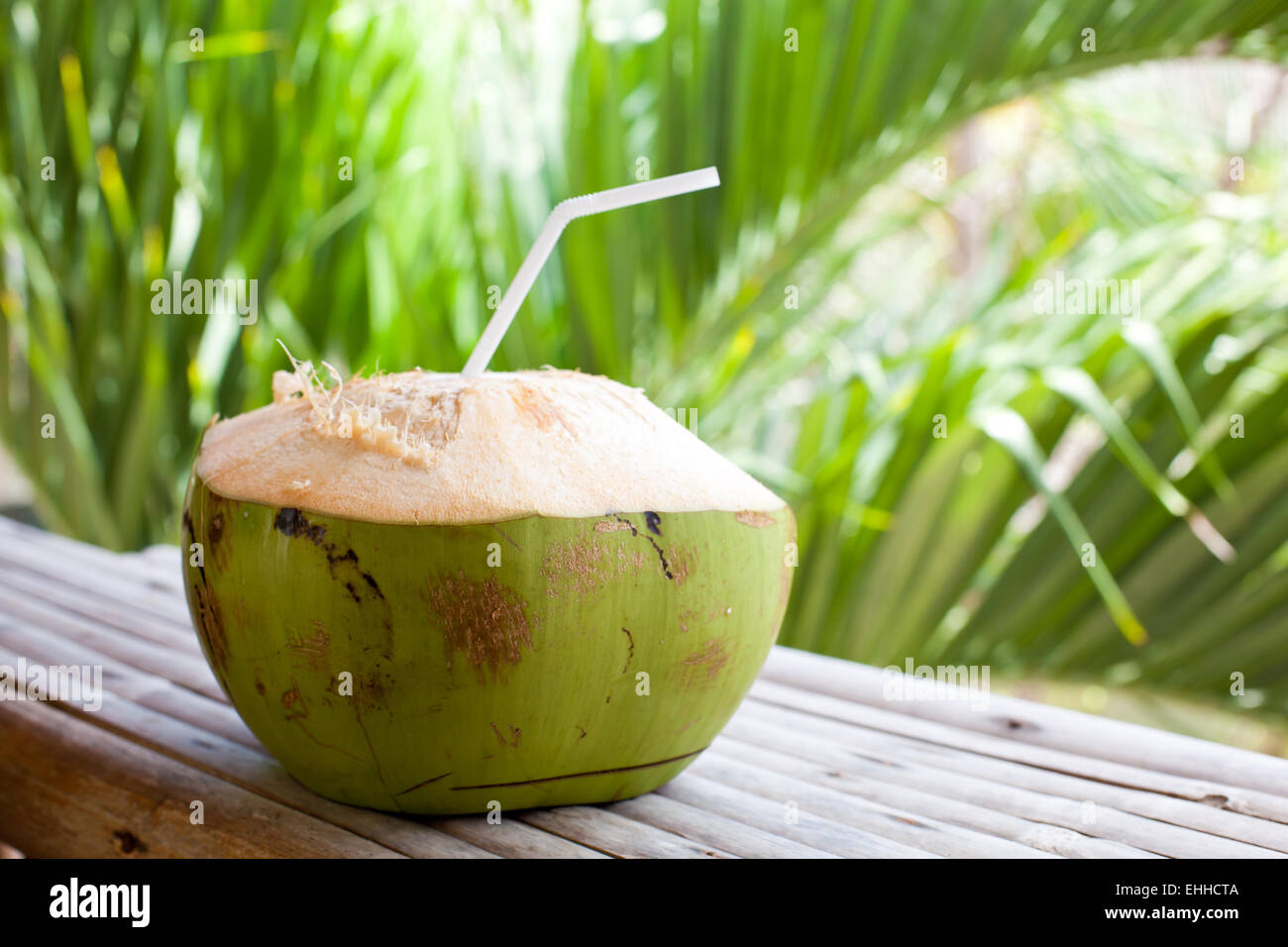 Frische Kokosnusswasser, leckere Milch Stockfoto