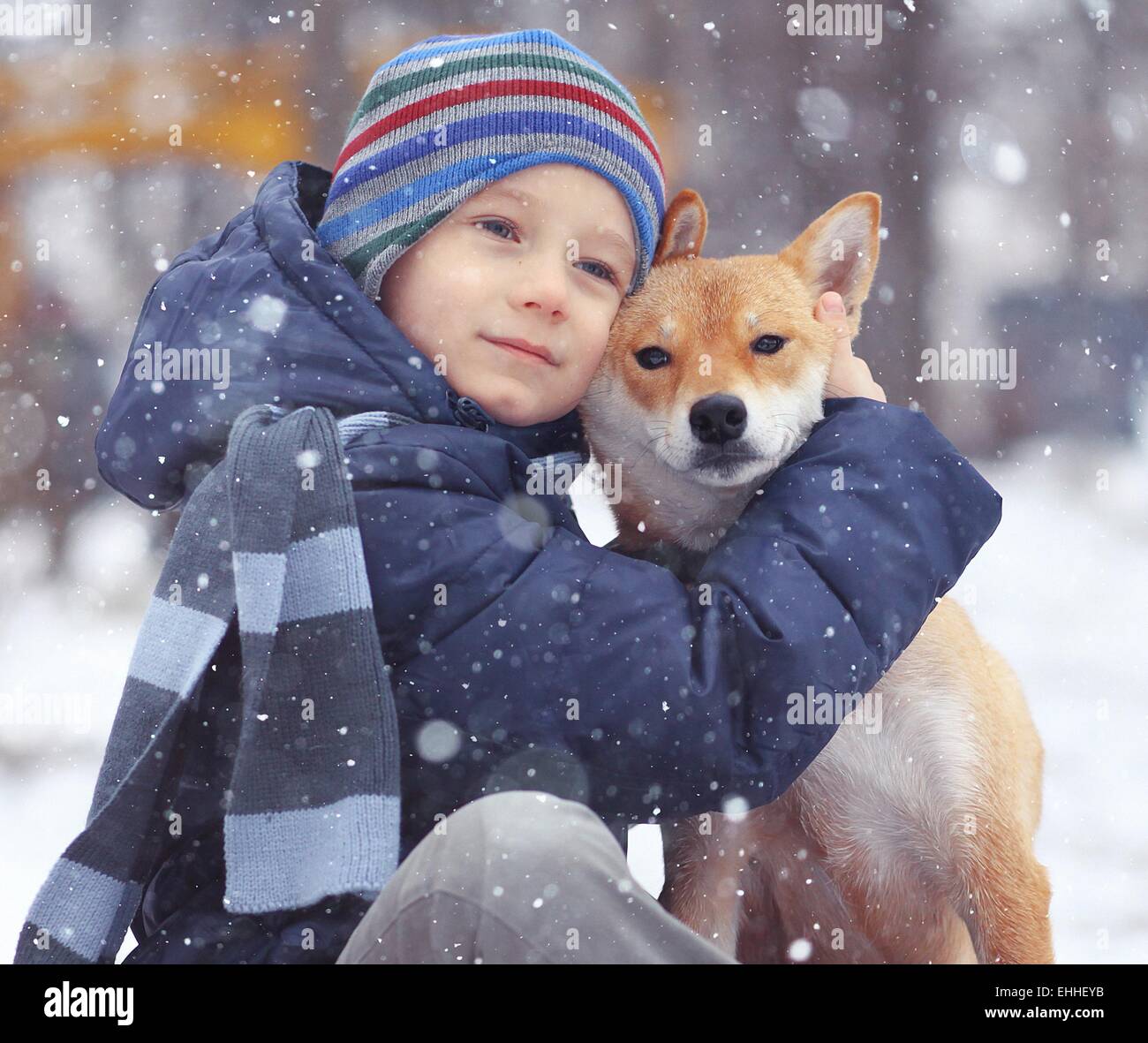 junge und einen niedlichen Hund Begriff der Freundschaft Stockfoto