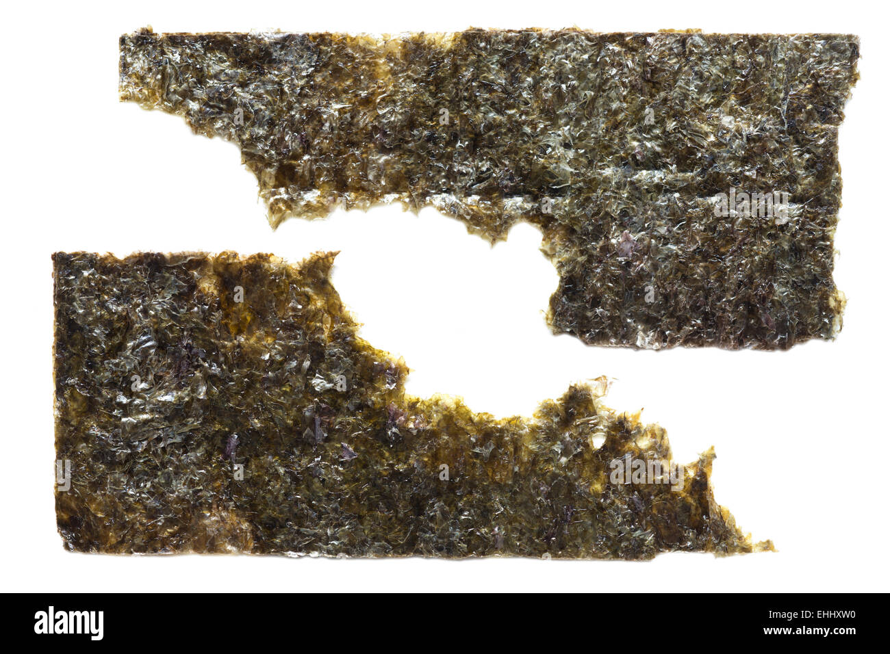 zwei trockene Algen Stücke isoliert auf weiss Stockfoto