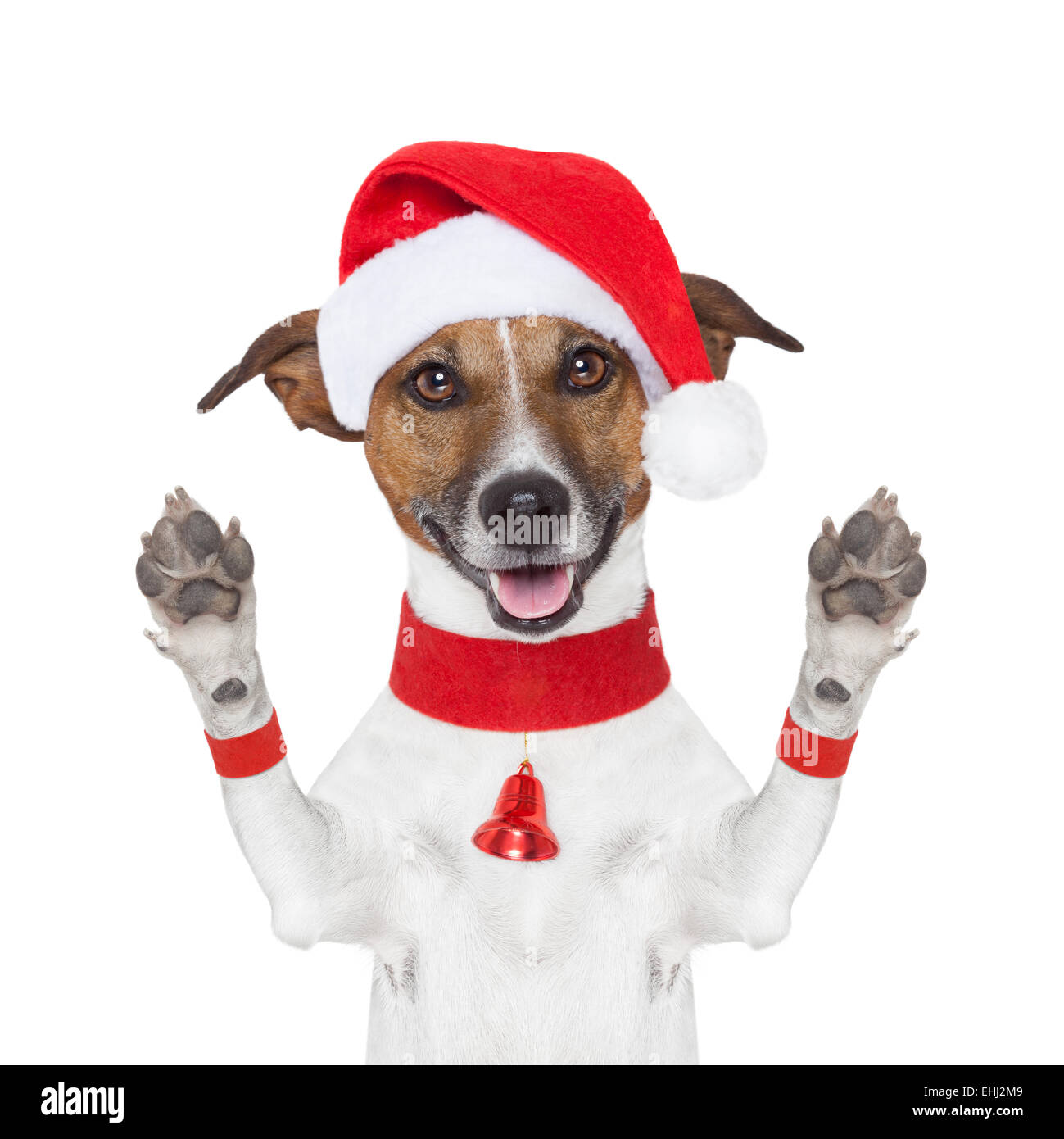 Hello Goodbye Weihnachten Hund Stockfoto
