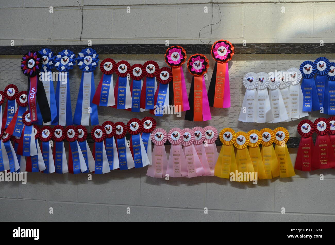 Award-Bänder Stockfoto