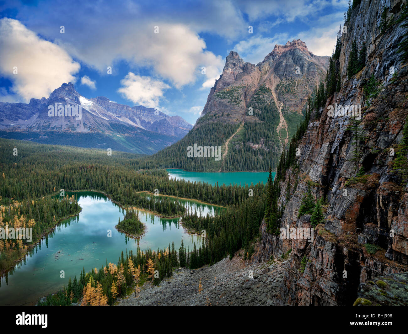 Marias Lake und Lake O'hara mit fallen farbige Lärche. Yoho National Park, Opabin Plateau, British Columbia, Kanada Stockfoto