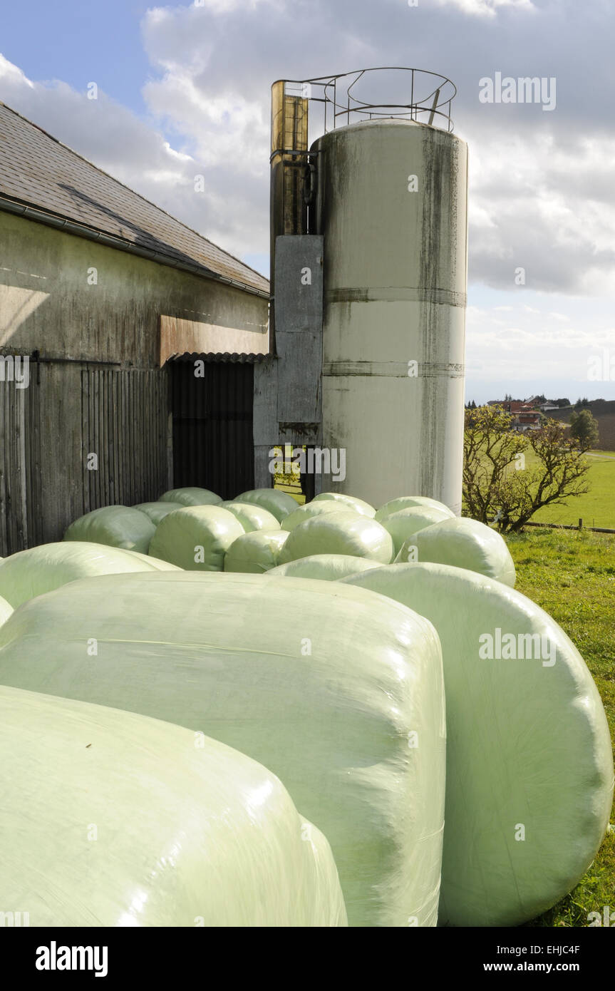 Bauernhof mit Silo Stockfoto