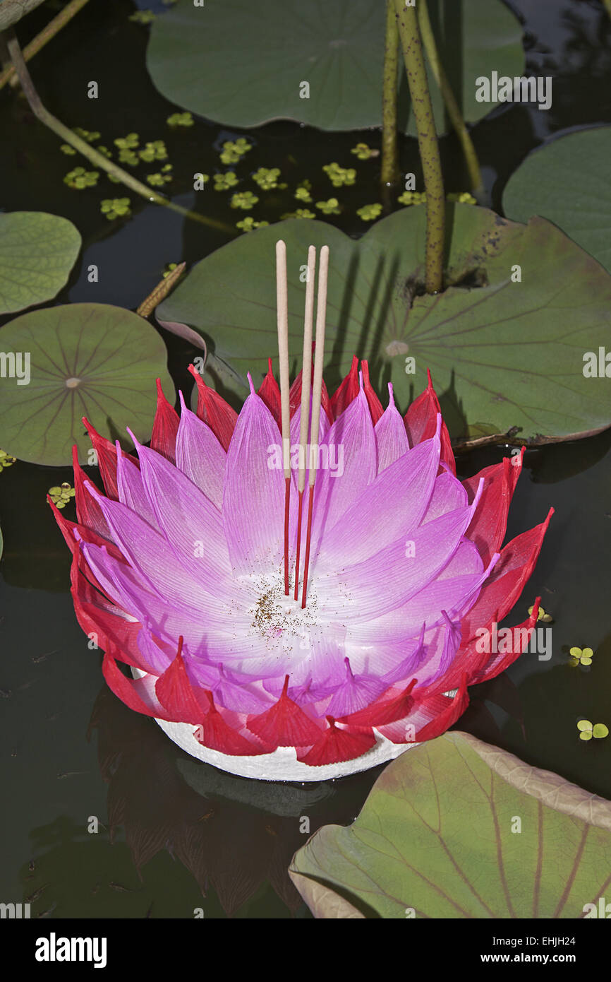 Festival of Lights Stockfoto