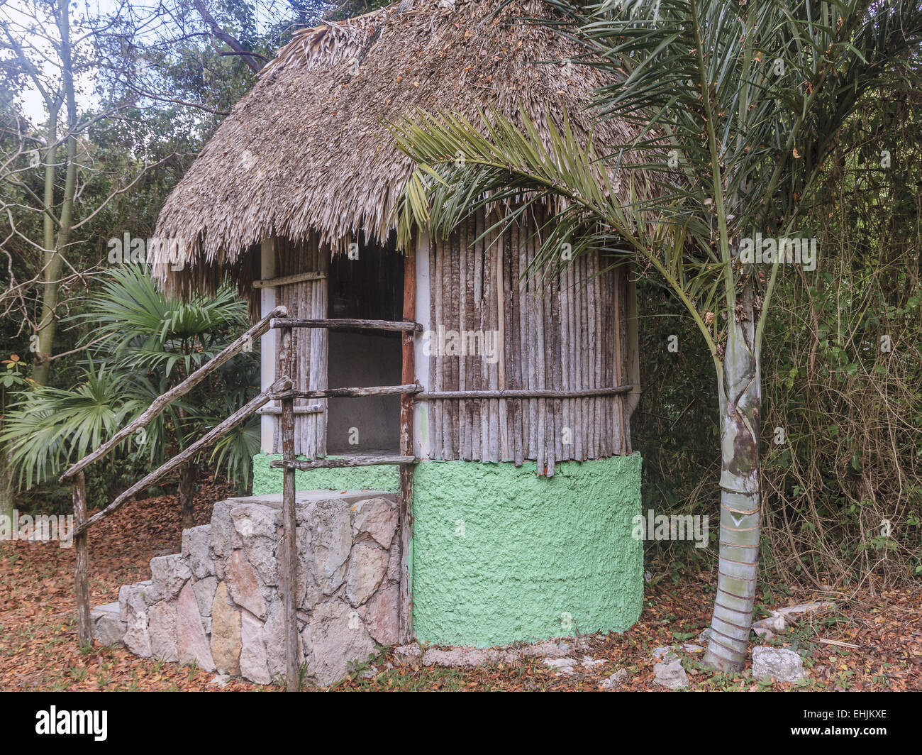 Kleine Hütte im Dschungel-Yucatan-Mexiko Stockfoto