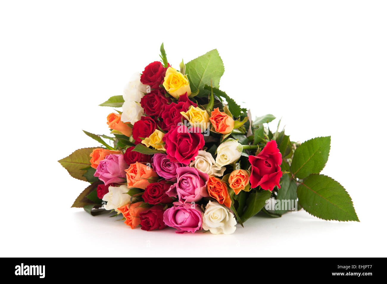 Strauß bunte Rosen isoliert auf weißem Hintergrund Stockfoto