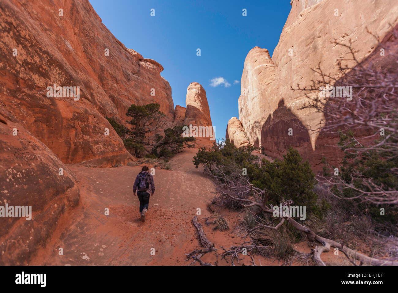 Weibliche Abenteurer erkunden die Wüste Stockfoto