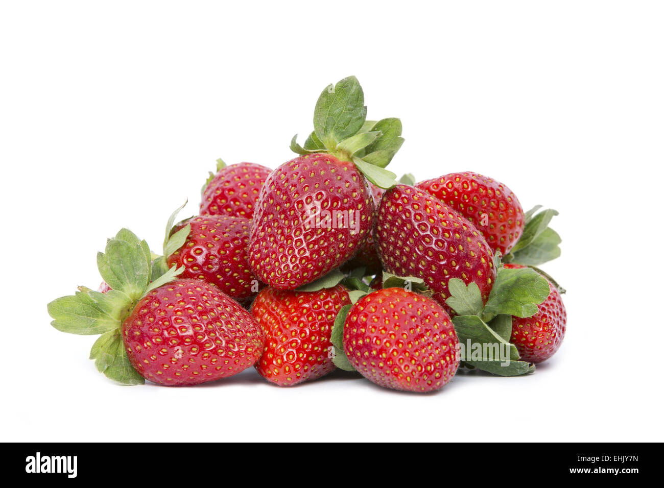 Eine frische Bio Erdbeeren auf weißem Hintergrund. Stockfoto