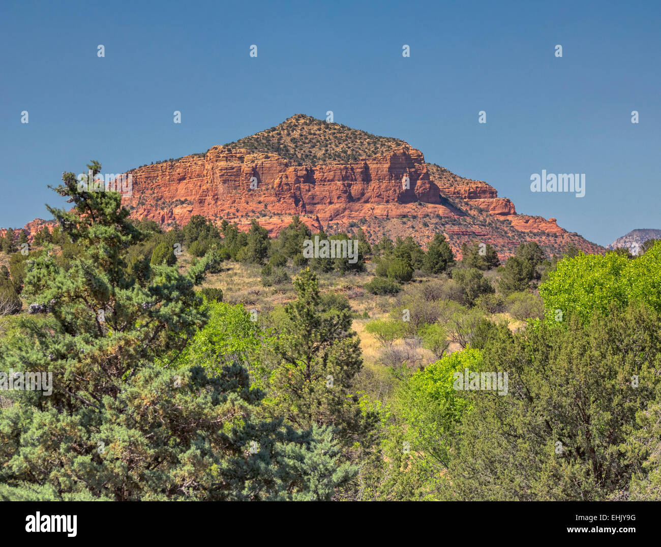 Ansicht von Castle Rock auch bekannt als Red Butte (Apache name Che Hallo Chos) Wald und südwestlichen landschaftlich, Sedona Arizona U Stockfoto
