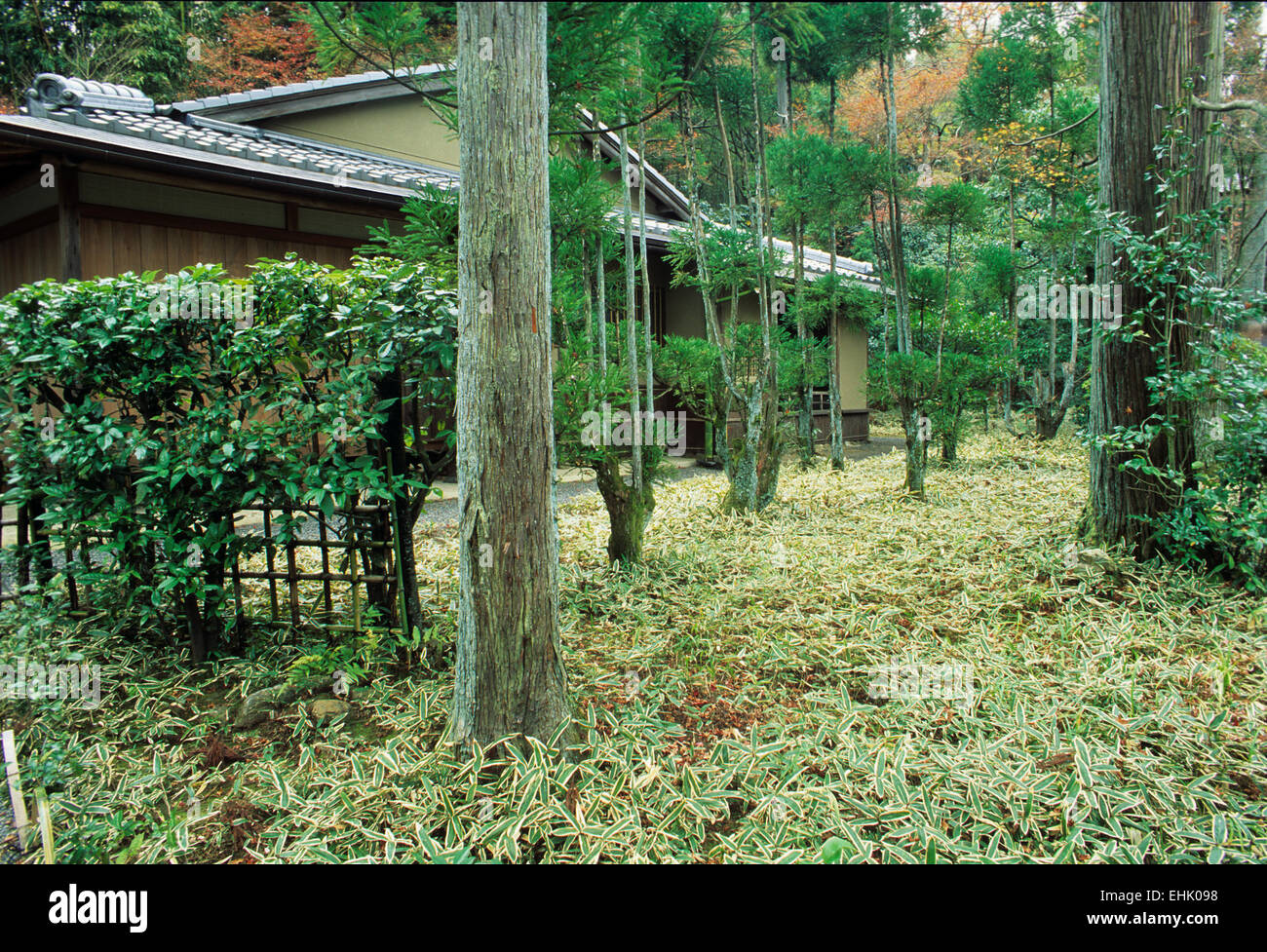 Der Stadt Kyoto ist ein einzigartiges Reservat für alte Zen-Gärten und Schreine, die mehr als neunhundert Jahre alt sind. Stockfoto