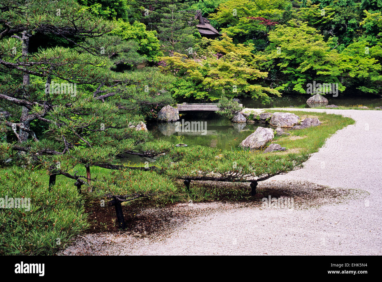 Der Stadt Kyoto ist ein einzigartiges Reservat für alte Zen-Gärten und Schreine, die mehr als neunhundert Jahre alt sind. Stockfoto