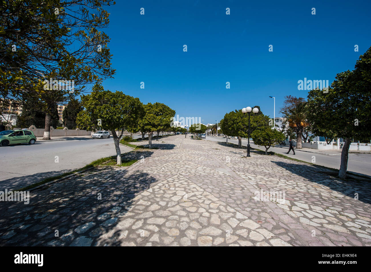 Der von Bäumen gesäumten Promenade in Nabeul, einer Küstenstadt im nordöstlichen Tunesien. Stockfoto