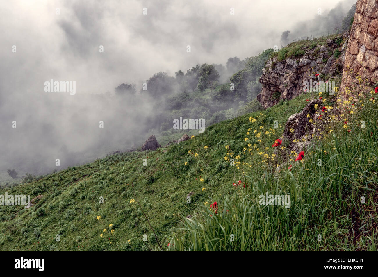 Dichter Nebel kriechen über die grüne Landschaft des bergigen Karabach Stockfoto