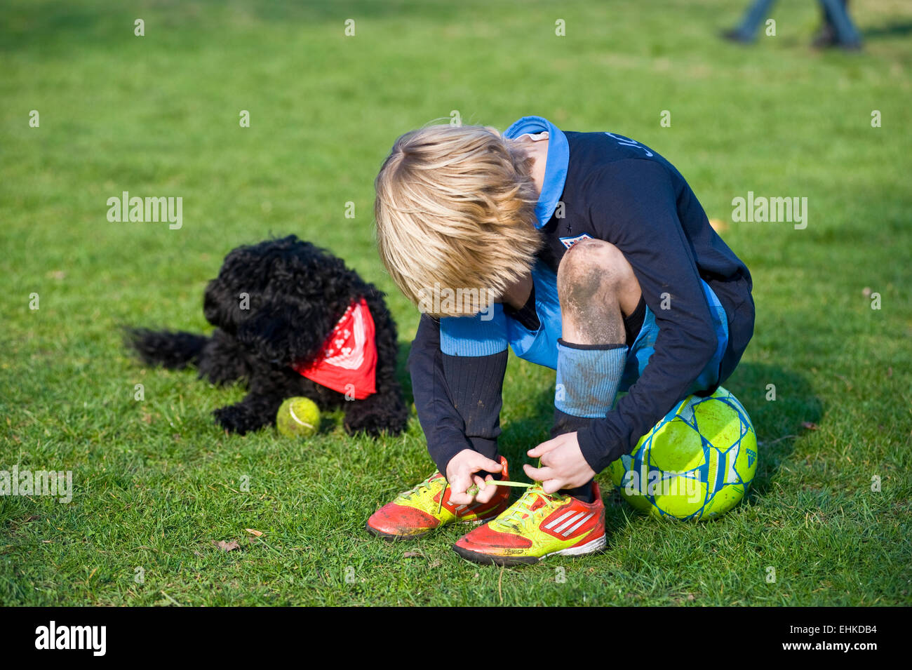 Ein Junge sitzt auf seinem Fußball und sich seine Schnürsenkel auf seine g  = Fußballschuhe während seinem Hund sitzt neben ihm ein Halstuch Sport  Stockfotografie - Alamy