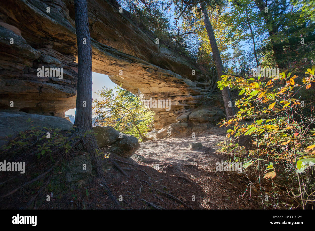 Natural Bridge in Red River Gorge, Kentucky Stockfoto