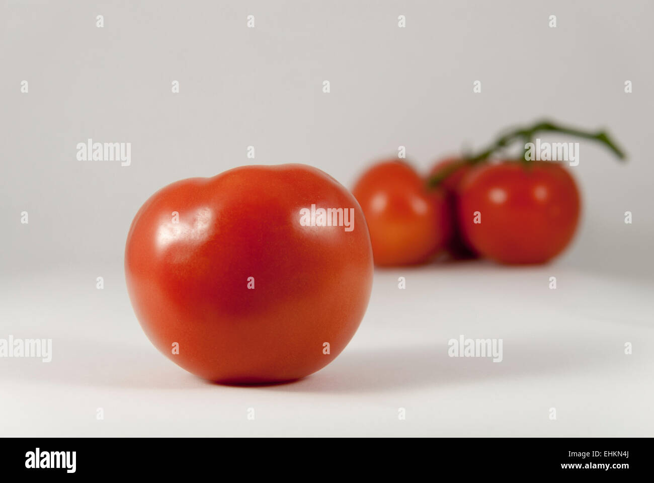 Einzelne Reife pralle rote Tomate unterstützt durch verschwommene Gruppierung von drei Tomaten mit weißem Hintergrund Stockfoto