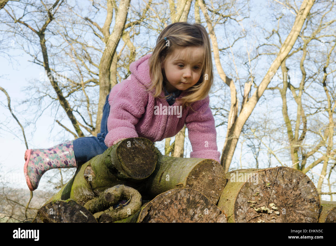 Mädchen-zwei-und-ein-halb Jahre alt, Klettern über einen Stapel der Protokolle in einem Wald im Winter, Sussex, UK. März. Stockfoto