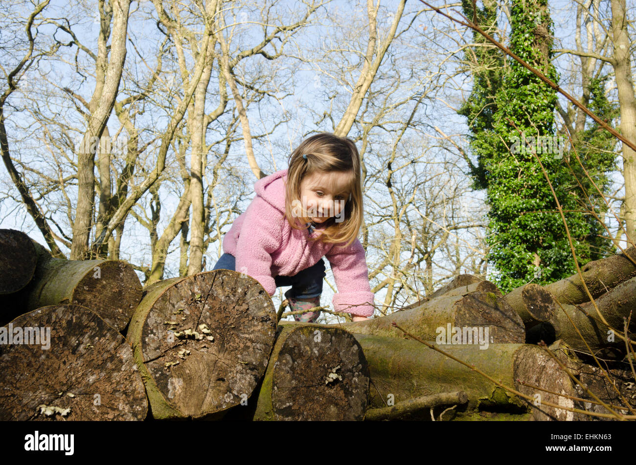 Mädchen-zwei-und-ein-halb Jahre alt, Klettern über einen Stapel der Protokolle in einem Wald im Winter, Sussex, UK. März. Stockfoto