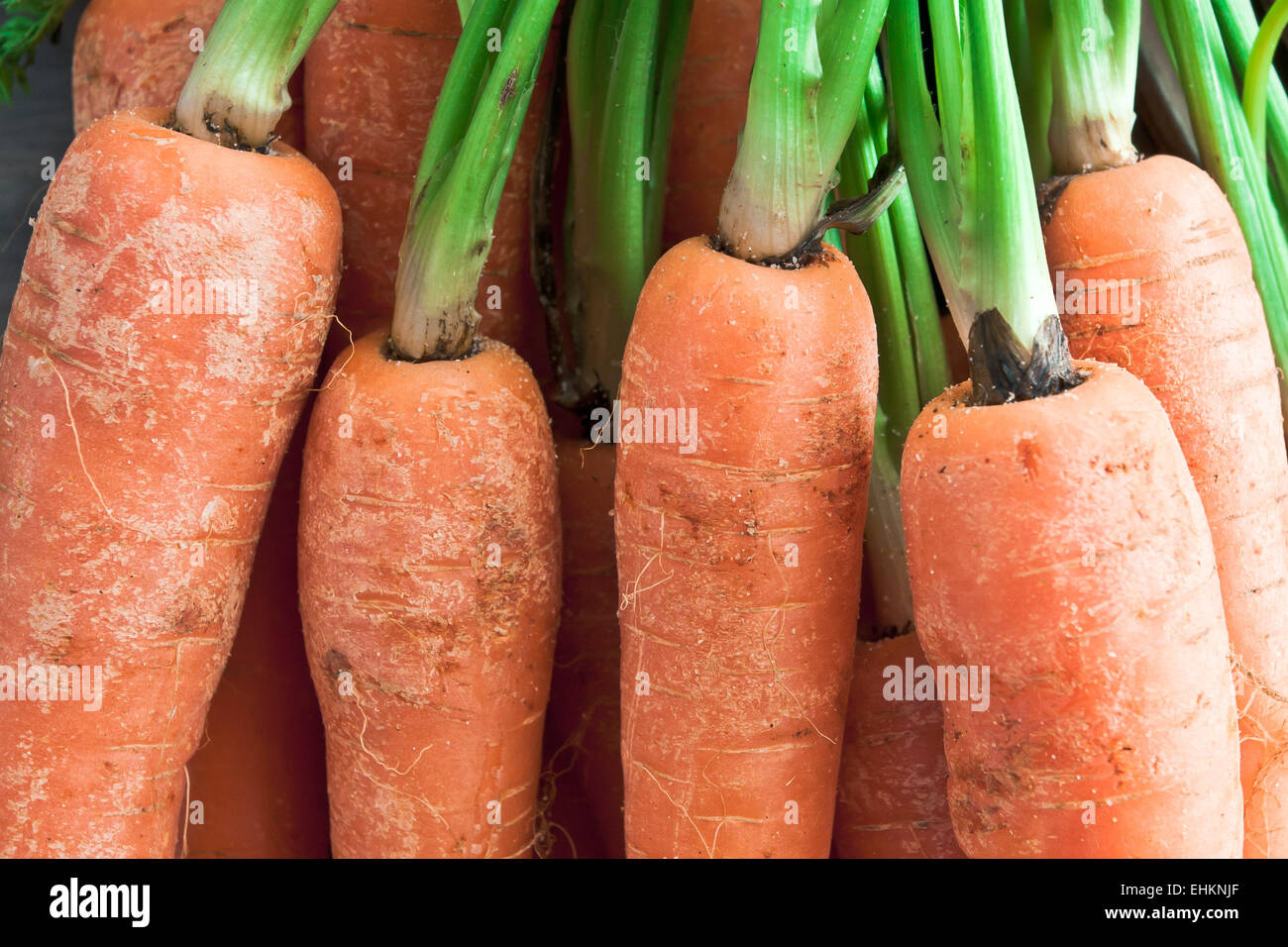 Nahaufnahme von Karotten mit grünen Stängel Stockfoto