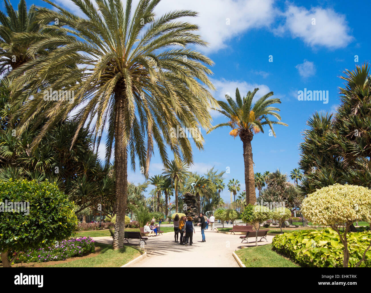 Parque Doramas in Las Palmas, Gran Canaria, Kanarische Inseln, Spanien Stockfoto