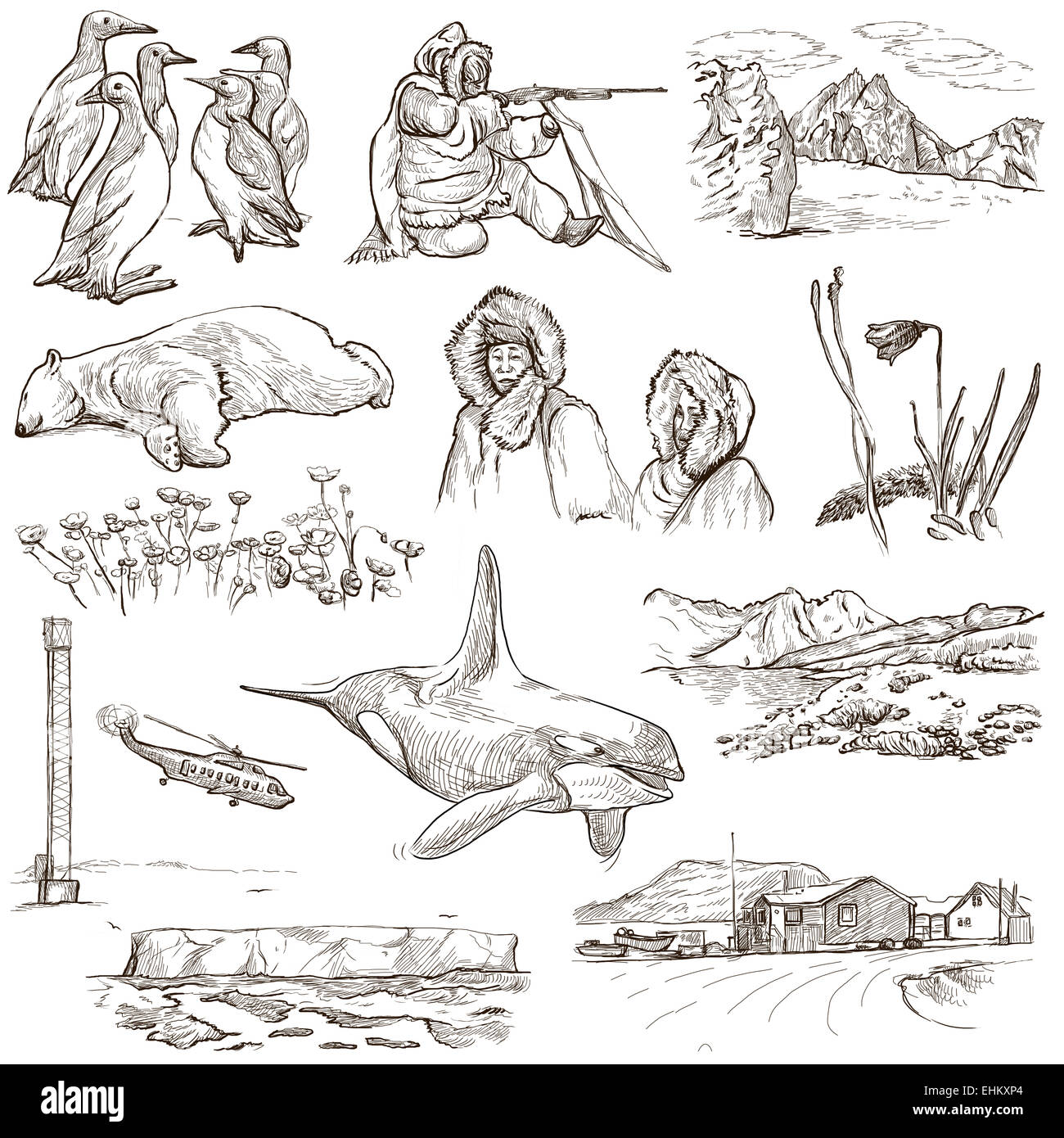 Serie Reisen: polare Regionen (Antarktis und Grönland) - Sammlung (Nr. 1) von einem handgezeichneten Illustrationen. Beschreibung: Vollständige si Stockfoto