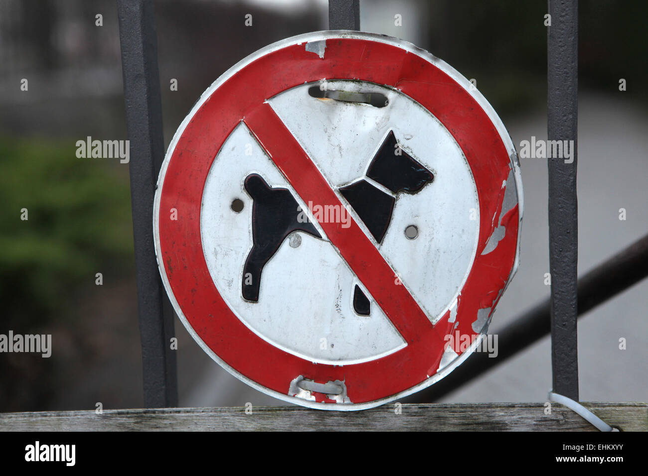 Keine Hunde erlaubt! Alten Verbotszeichen gesehen auf das Eingangstor der Friedhof Heerstraße in Berlin, Deutschland. Stockfoto