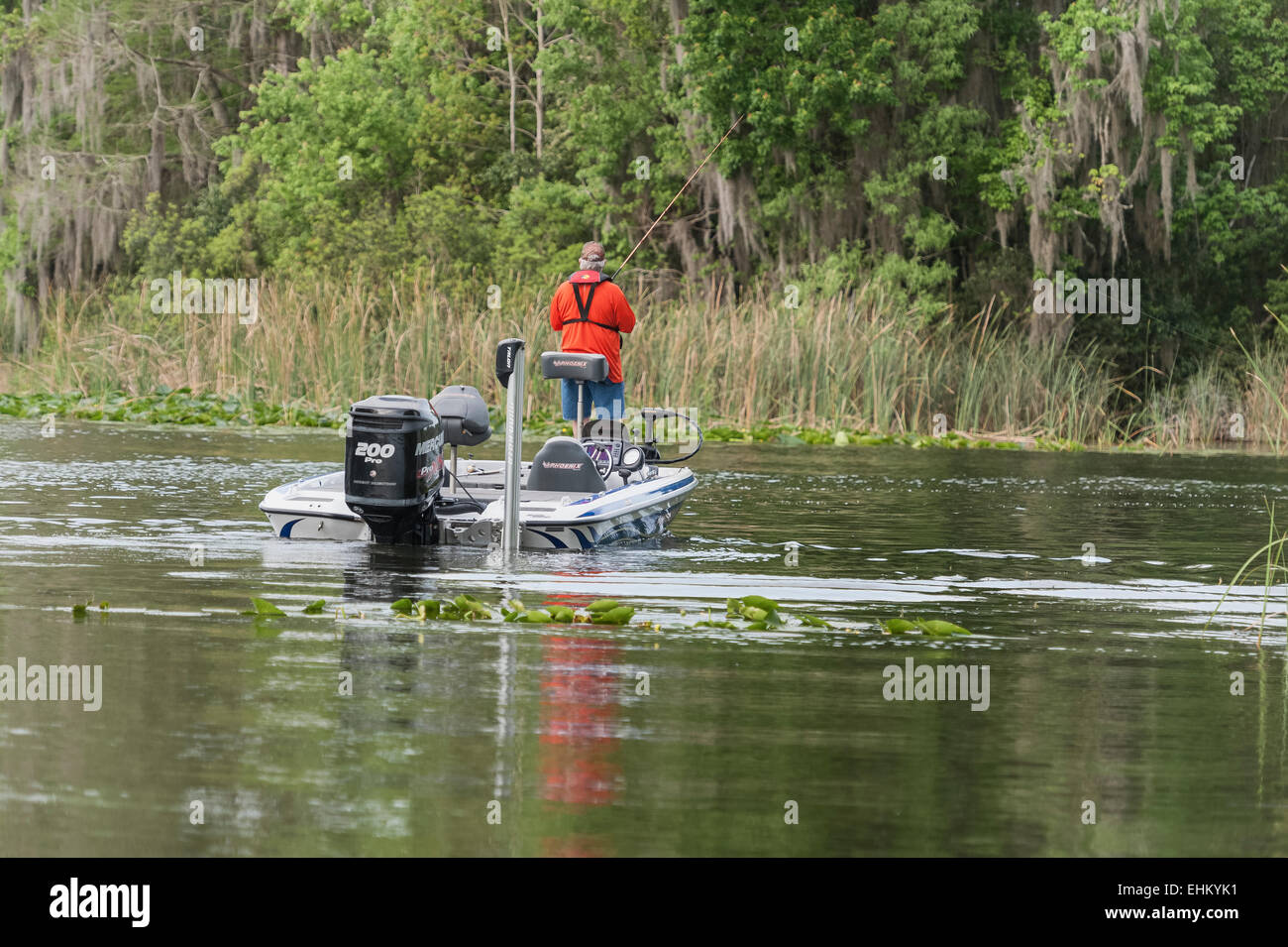 Baß-Fischen am Fluss Haines Creek in Zentral-Florida-USA Stockfoto