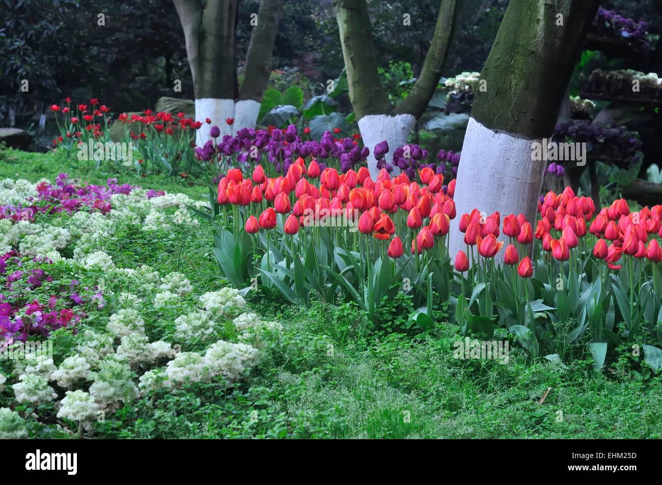 bunte Blumen-Garten Stockfoto