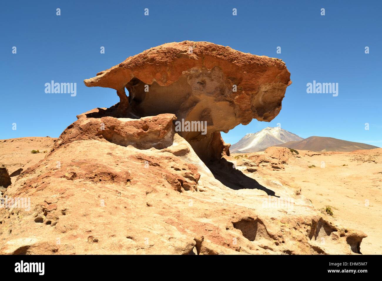 Stein Baum-Rock-Formation in der Wüste Stockfoto