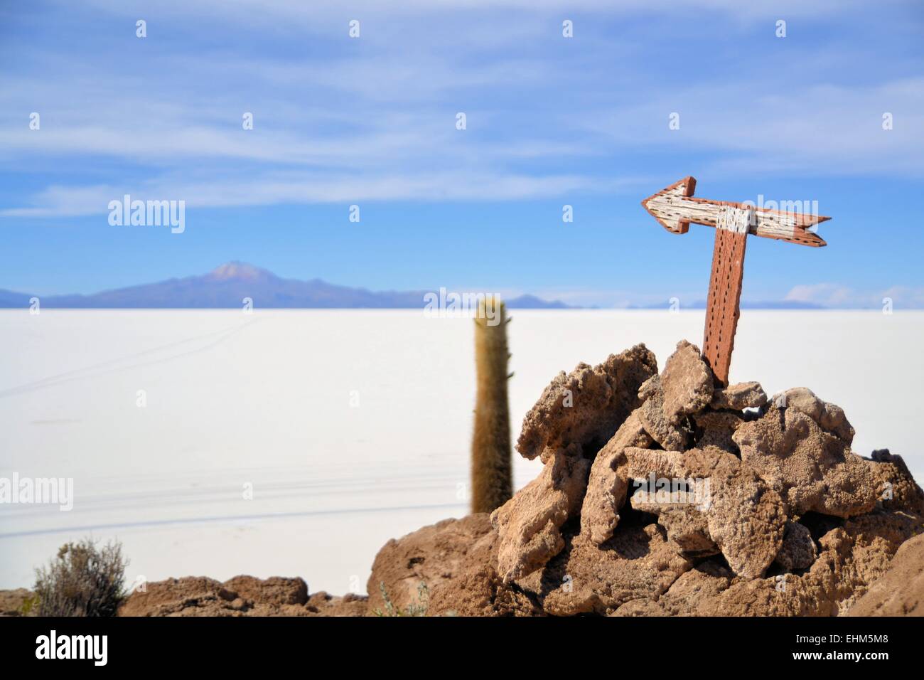 Kaktus Insel Incahuasi in Uyuni Salt Flats Stockfoto