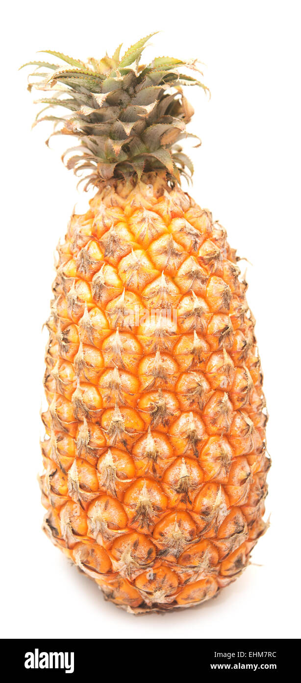 große reife Ananas isoliert auf weißem Hintergrund Stockfoto